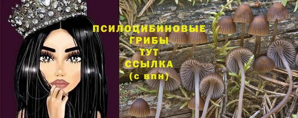 spice Приозерск