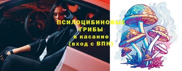 spice Приозерск