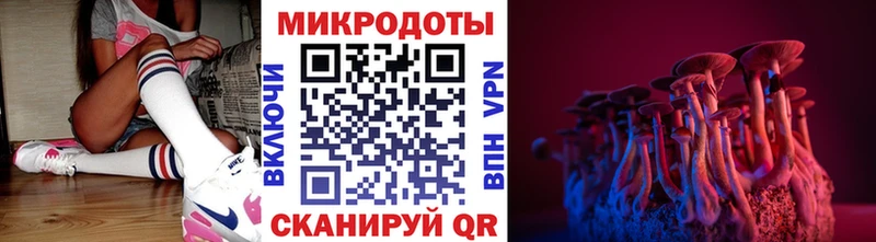 закладки  Серов  Псилоцибиновые грибы Cubensis 