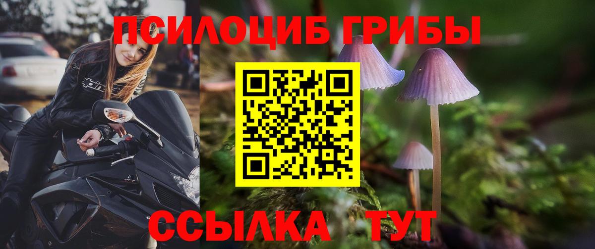 Серов  Галлюциногенные грибы MAGIC MUSHROOMS  Вход с VPN  Псилоцибиновые грибы мухоморы 